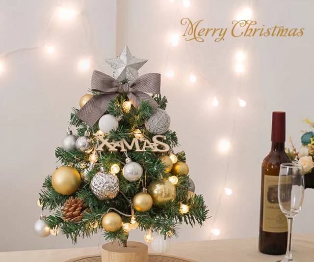 0歳 クリスマス 過ごし方